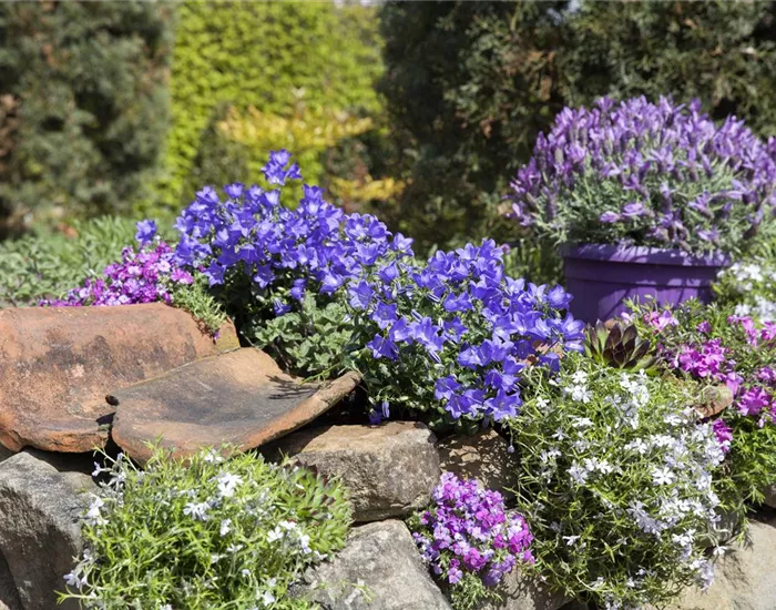 Gartenarbeiten im Mai