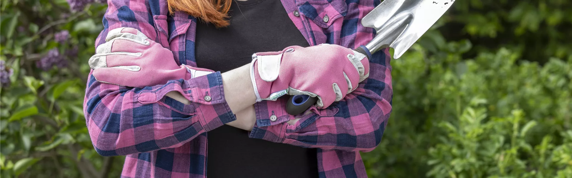 GS619544.jpg GS619544.jpg