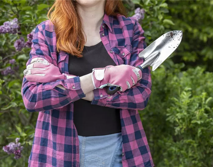 Es ist soweit: der Frühjahrsputz im Garten Es ist soweit: der Frühjahrsputz im Garten