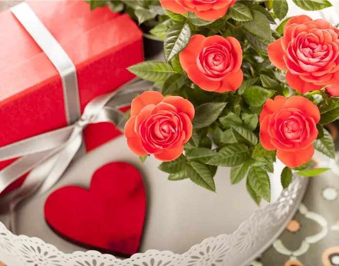 Eine Blume sagt mehr als tausend Worte – die Sprache der Blumen