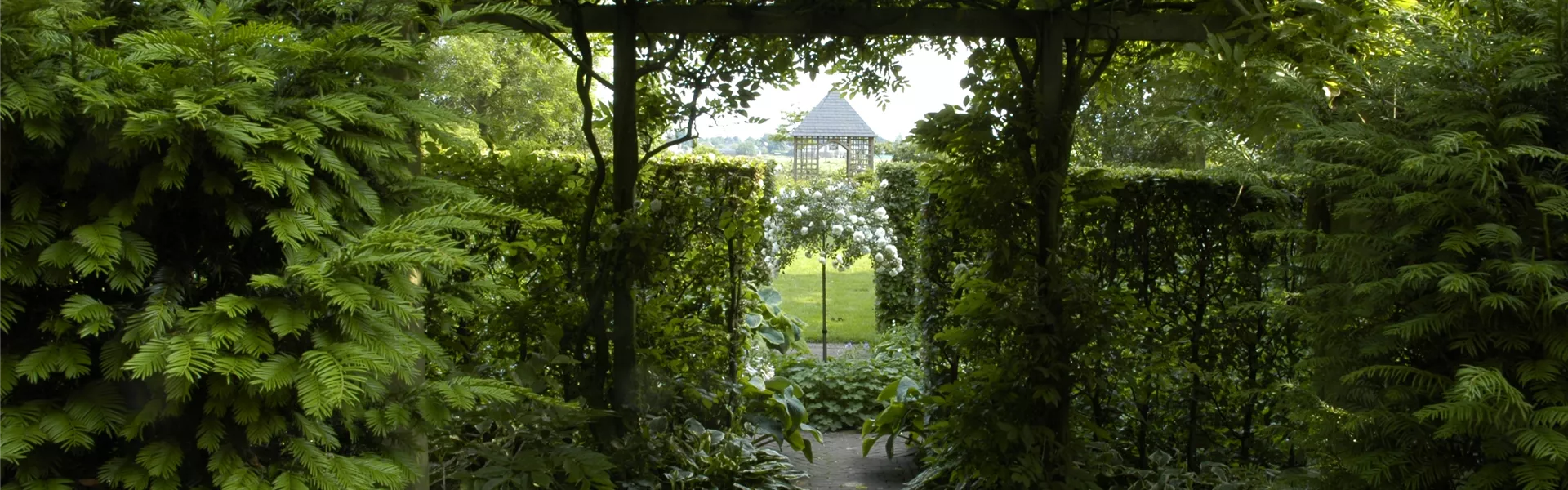 GS619959.jpg GS619959.jpg