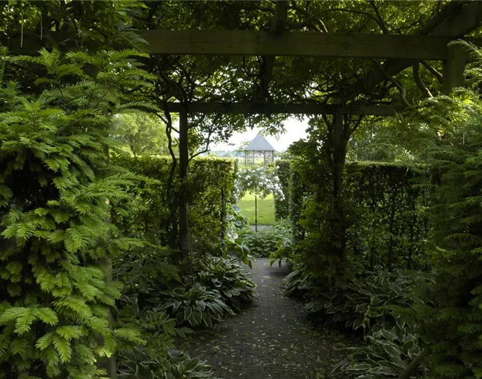 Garten easy going – so wird der Garten pflegeleicht