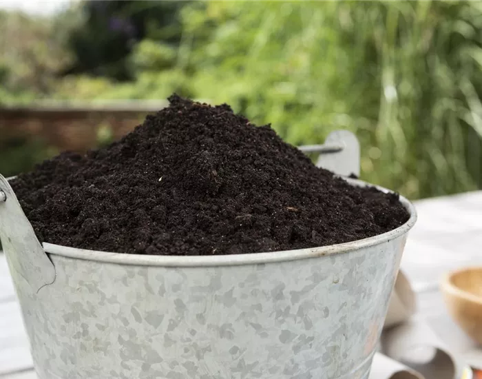 Erde und Substrate legen den Grundstein fürs Wachstum 