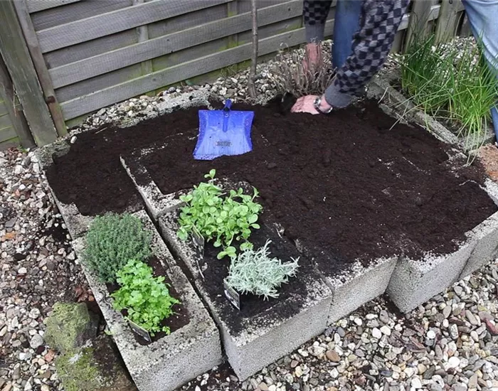 Kräuter - Einsetzen in Pflanzsteine