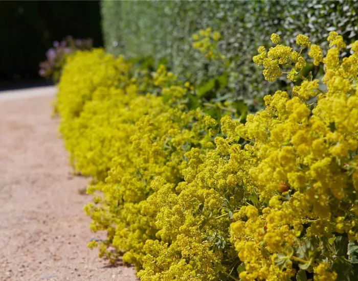 Blackbox-Gardening – die kreative Idee mit den großen Überraschungseffekten