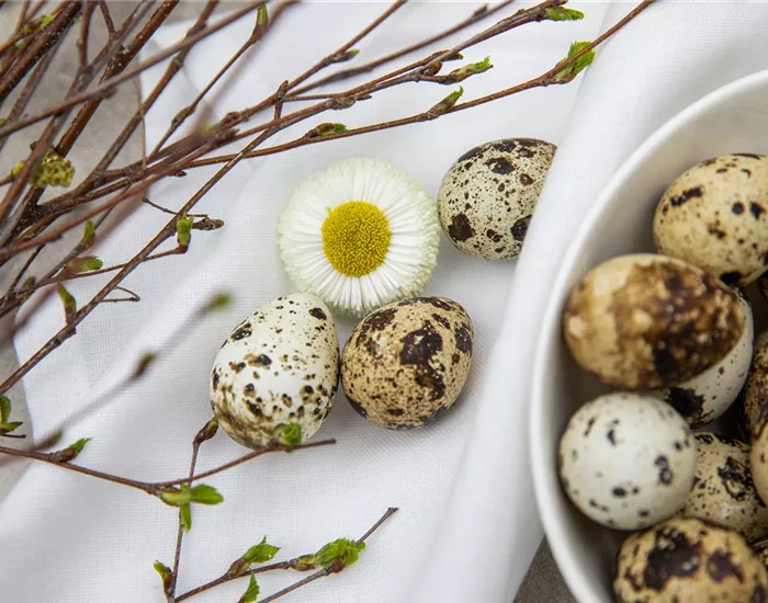 Palmsonntag: grüne Traditionen in der Kirche