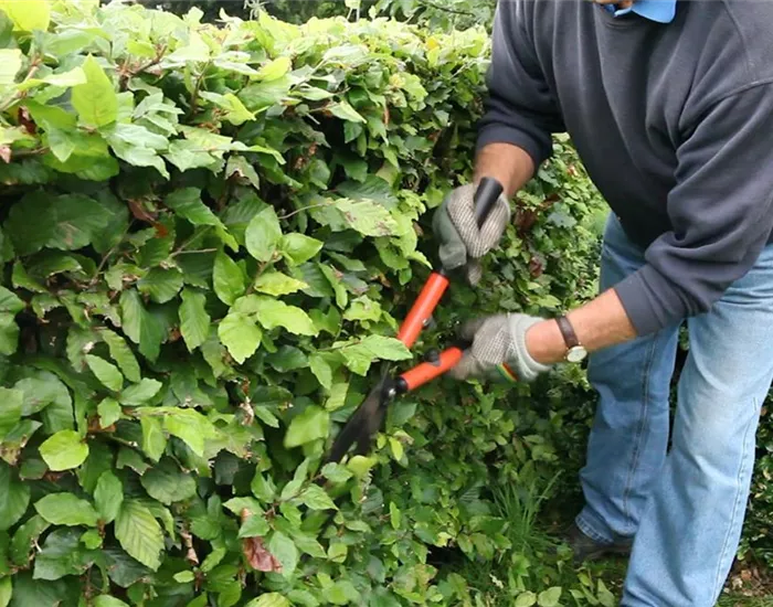 Schneidwerkzeuge und Zubehör