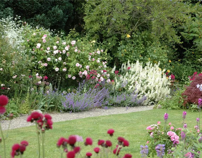 Aller Anfang ist (nicht) schwer - der erste eigene Garten