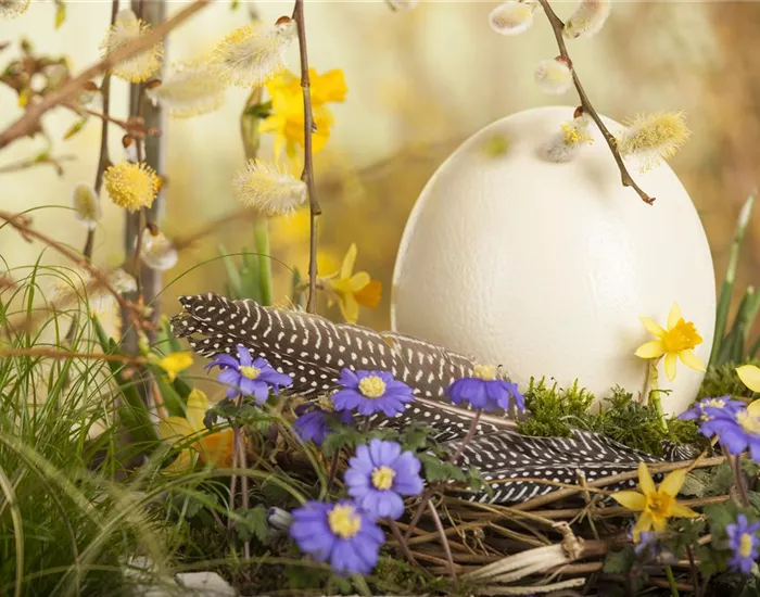 Das Garten-Paradies für Osterhase und Co. Das Garten-Paradies für Osterhase und Co.