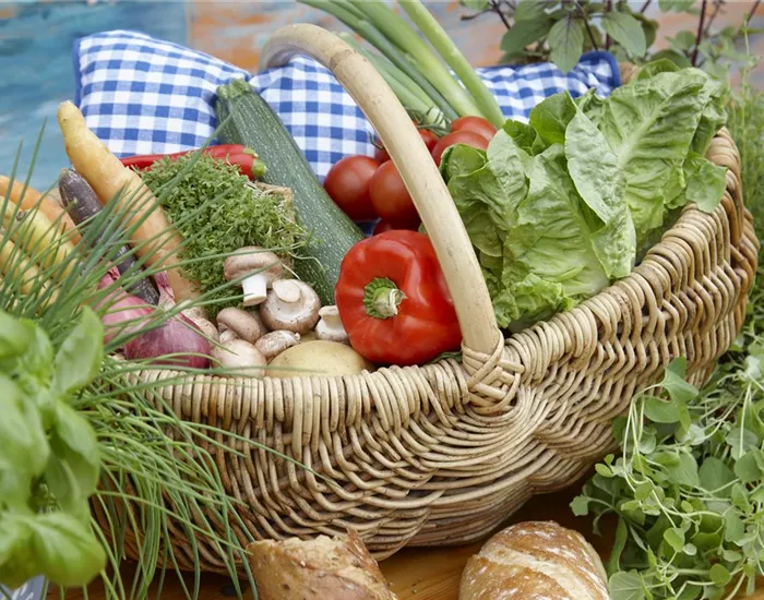 Das Pflanzen von Gemüse 