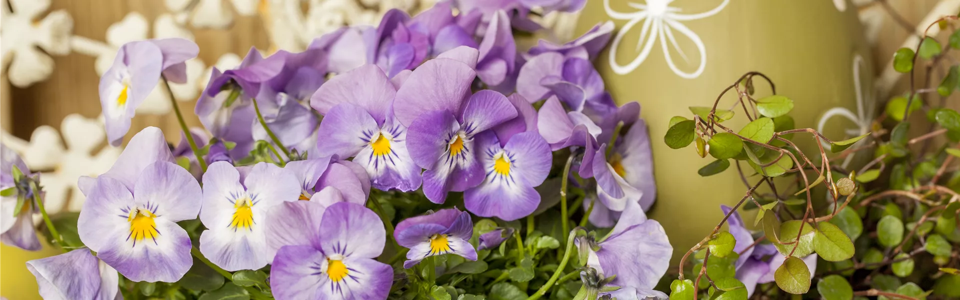 GS470766.jpg GS470766.jpg