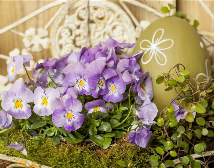 Ein buntes Osterfest mit den passenden Frühlingsboten Ein buntes Osterfest mit den passenden Frühlingsboten