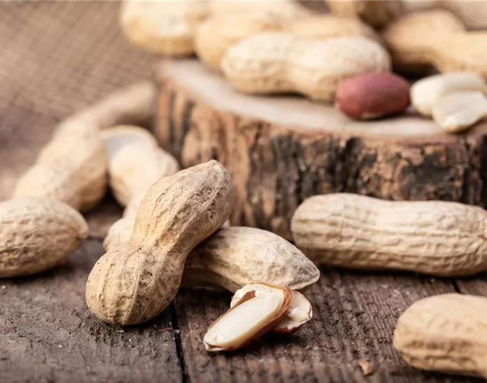 Erdnüsse im eigenen Garten 