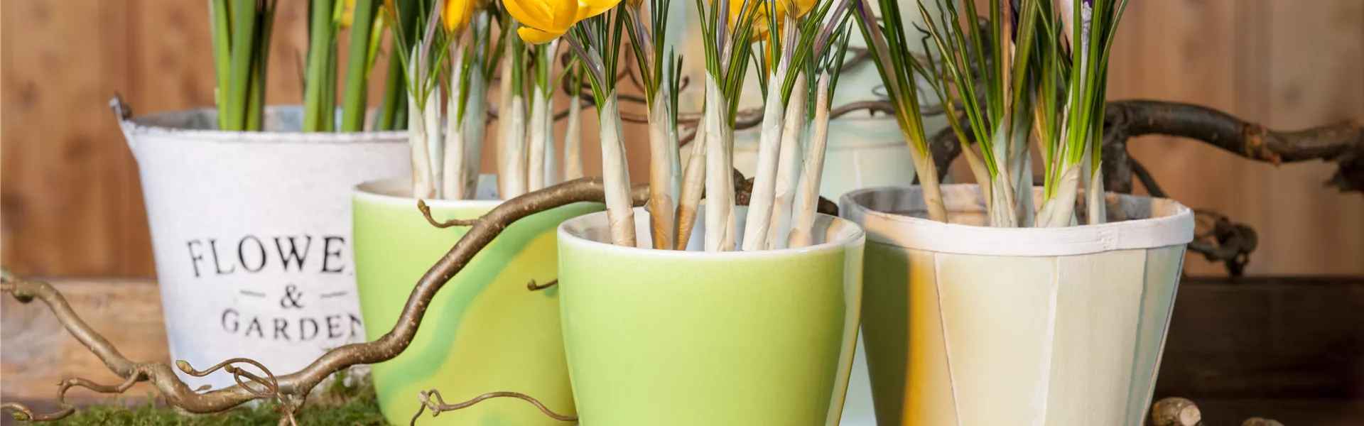 GS511807.jpg GS511807.jpg