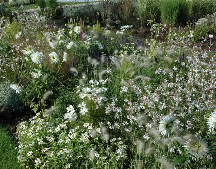 Ganz in Weiß – elegante Gartengestaltung mit Stil Ganz in Weiß – elegante Gartengestaltung mit Stil