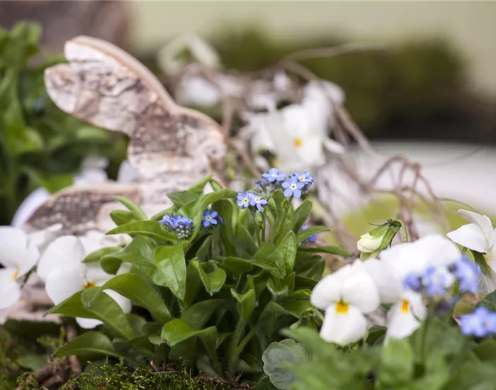 Ostern vor der Haustür Ostern vor der Haustür