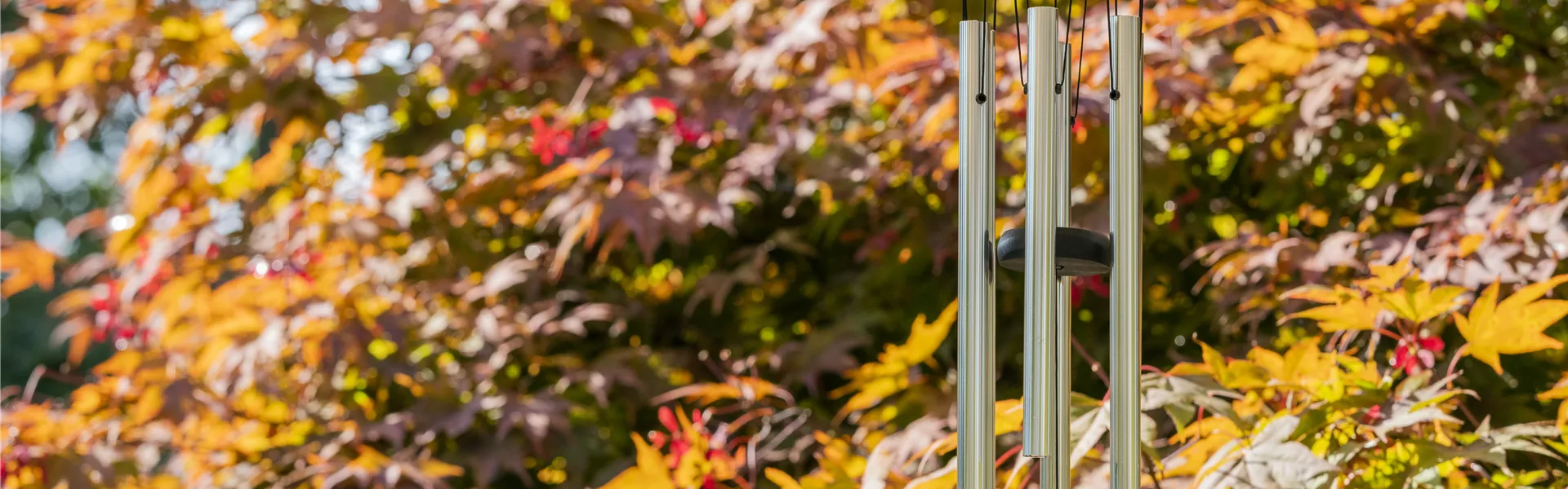 GS599694.jpg GS599694.jpg