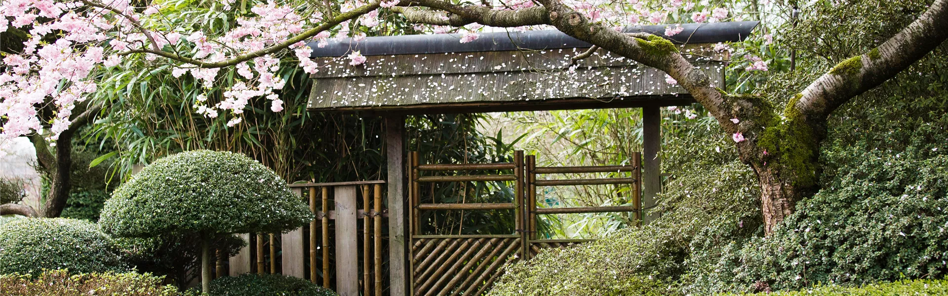 GS531840.jpg GS531840.jpg