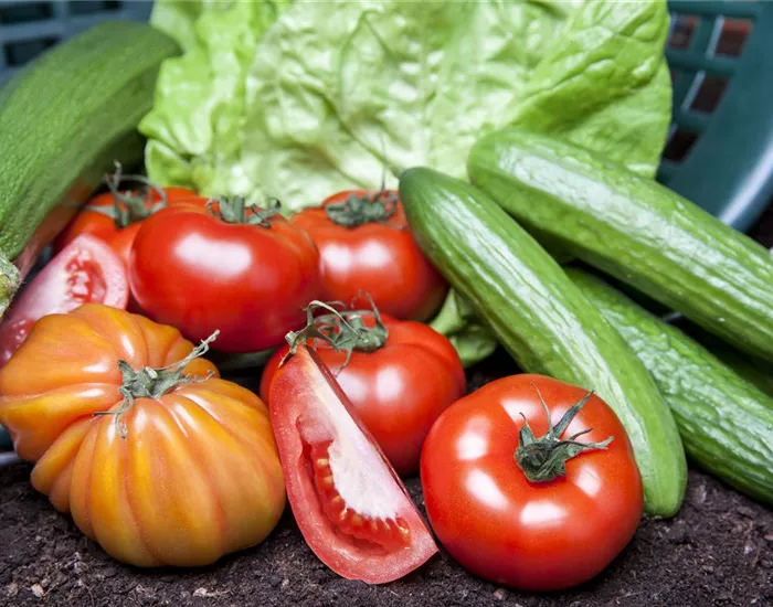 Von Artischocke bis Zucchini: alles für den Bauerngarten Von Artischocke bis Zucchini: alles für den Bauerngarten