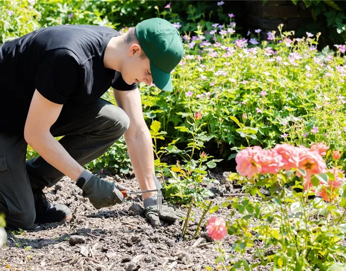 Was bringt der April dem Gärtner an Arbeit? Was bringt der April dem Gärtner an Arbeit?