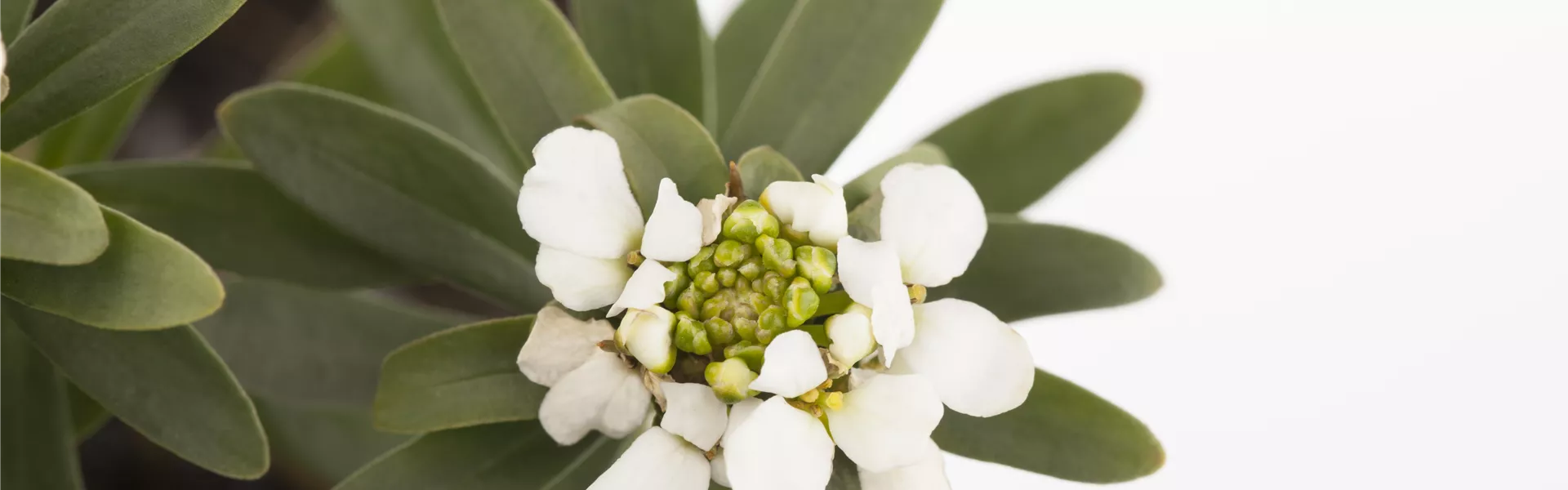 GS458188.jpg GS458188.jpg