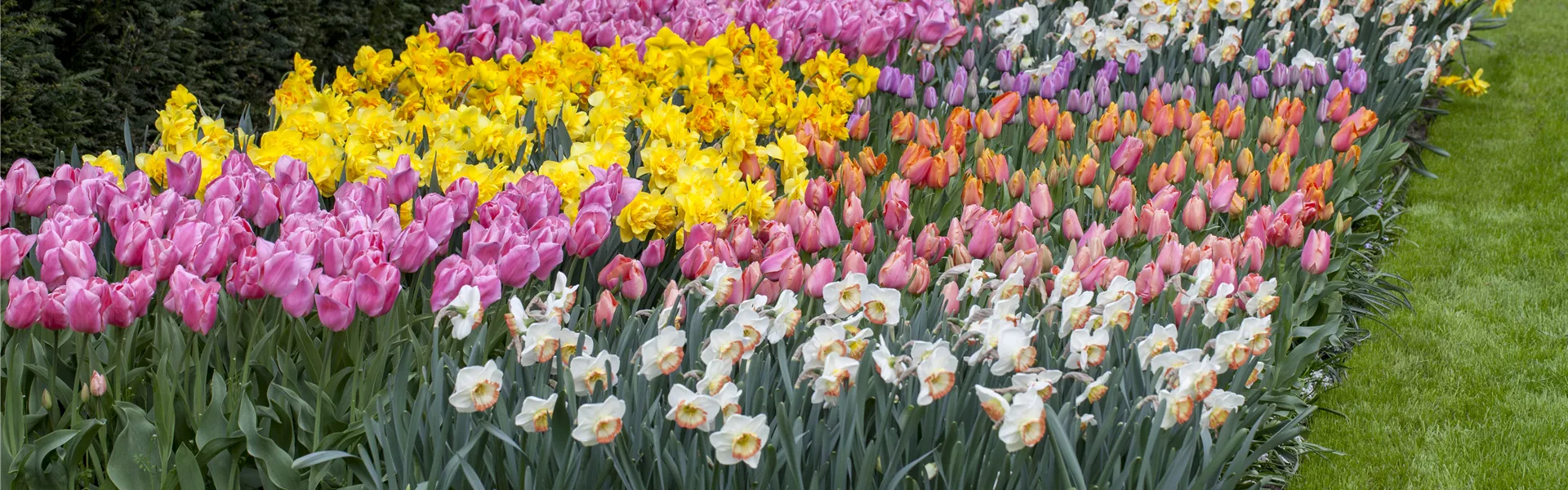 GS424223.jpg GS424223.jpg