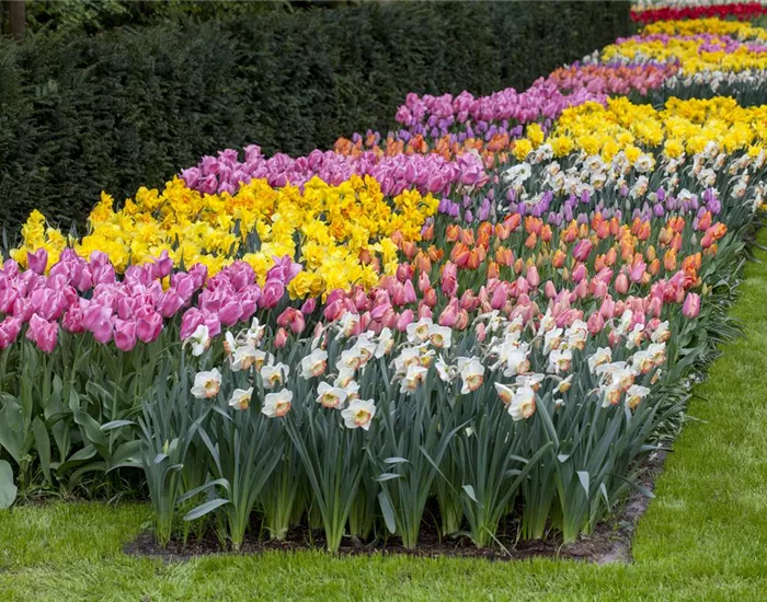 Das Blumenbeet pflegen: Gießen, düngen und schneiden