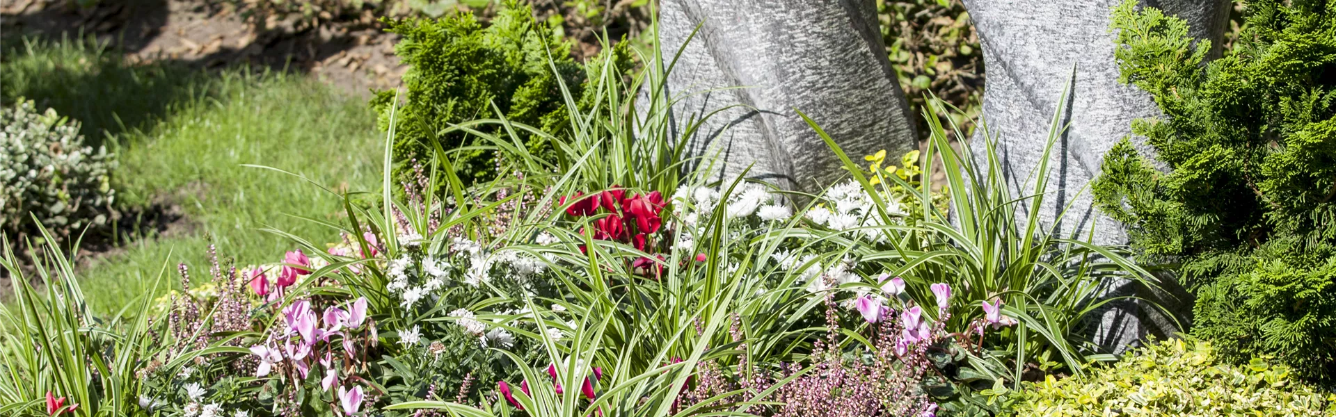 GS502947.jpg GS502947.jpg