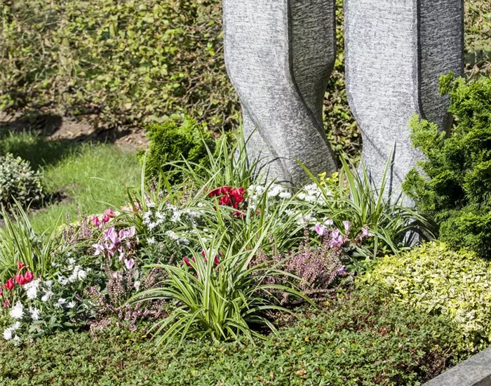 Im Mai bekommt das Grab seine Sommerbepflanzung Im Mai bekommt das Grab seine Sommerbepflanzung