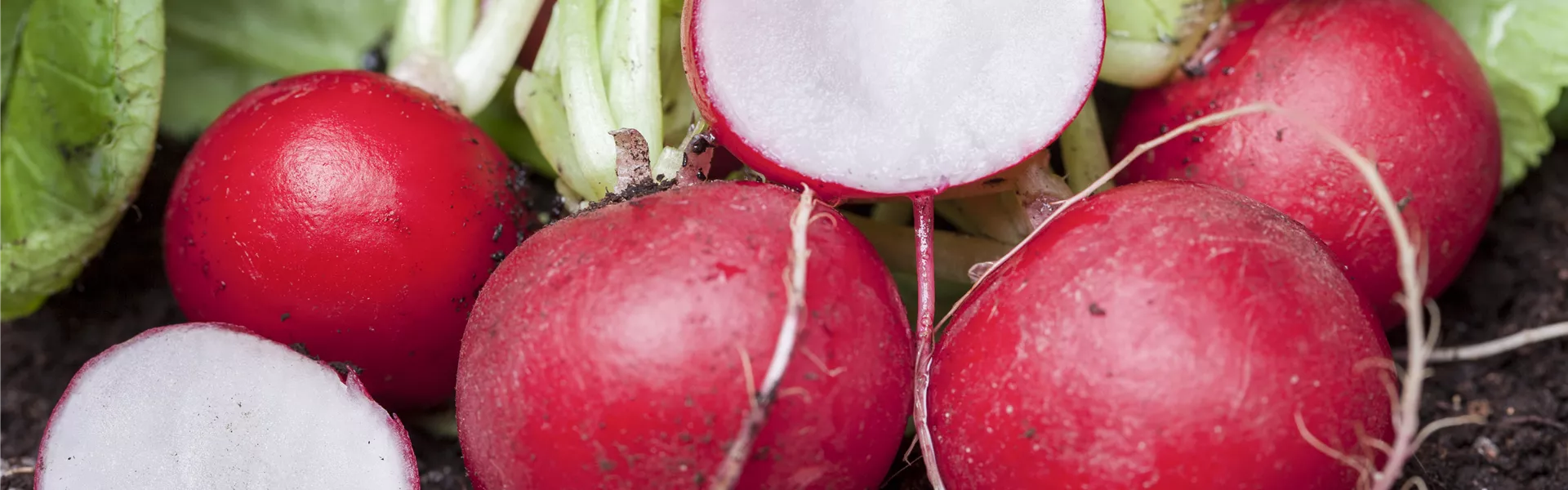 GS457326.jpg GS457326.jpg