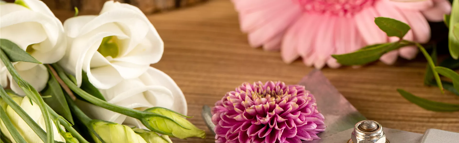 GS657551.jpg GS657551.jpg