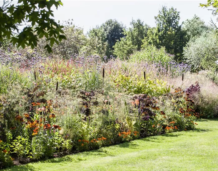 Pflegeleichter Garten: Wohlfühloase trotz wenig Zeit Pflegeleichter Garten: Wohlfühloase trotz wenig Zeit
