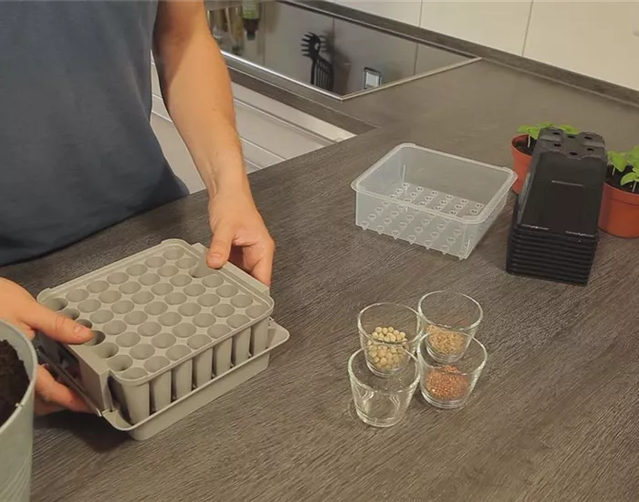 Tomaten - Aussäen von Samen