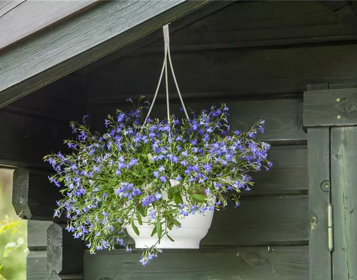 Einen Fahrradschuppen selbst bauen