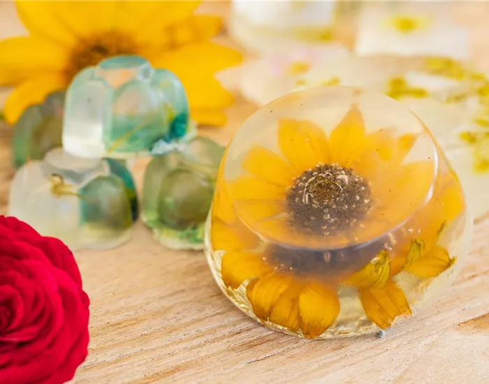 Blumenseife - die etwas andere Seife mit Blüten