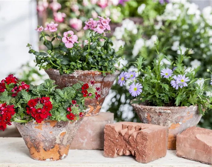 Der ganz große Stil im Garten - eine Anleitung für Menschen mit Liebe zu Effekten