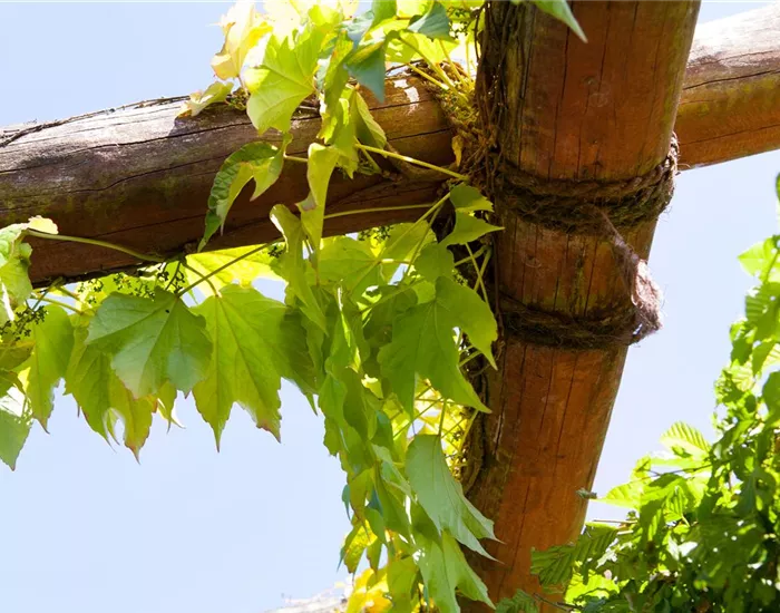 Mit dem richtigen Balkon-Sichtschutz einen Rückzugsort schaffen