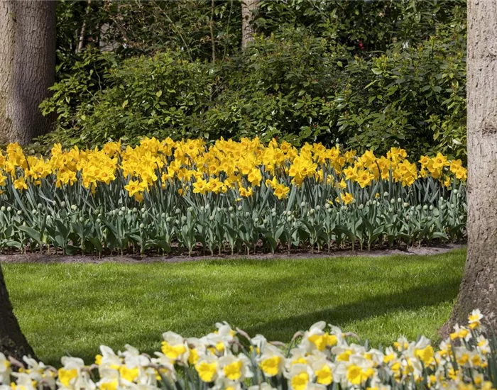 Das richtige Blumenbeet für den eigenen Garten