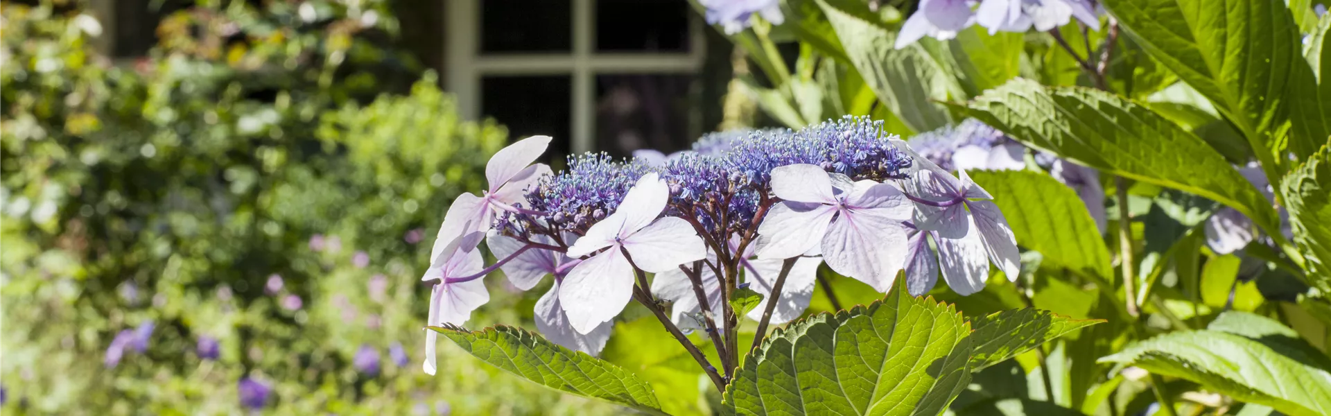 GS503716.jpg GS503716.jpg