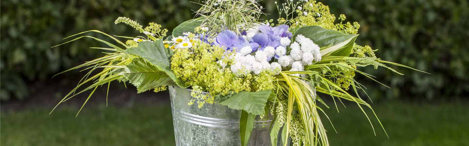 GS496941.jpg GS496941.jpg