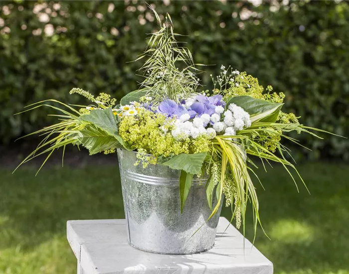 Was passiert eigentlich in der Blumenvase?